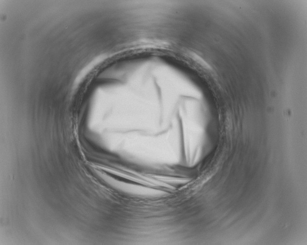 X0000069411310200606091756