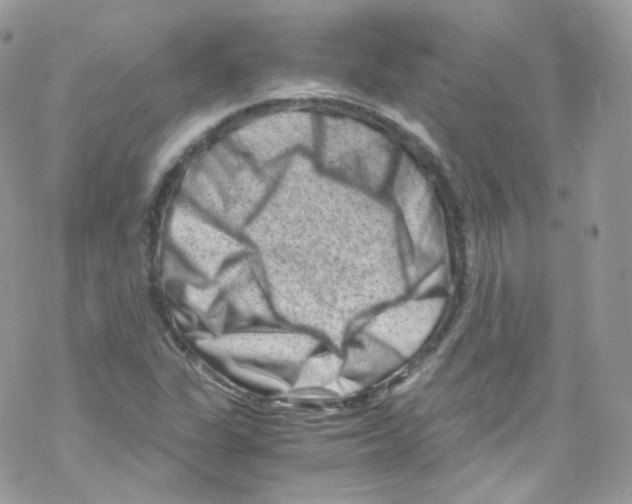 X0000069411311200606091756
