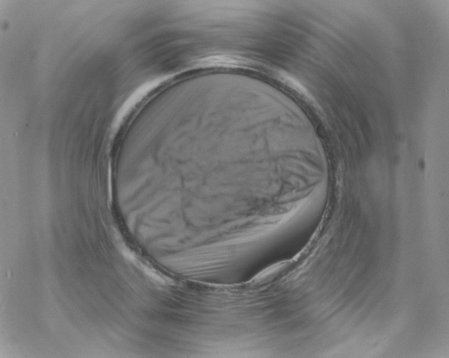 X0000069411323200606091757
