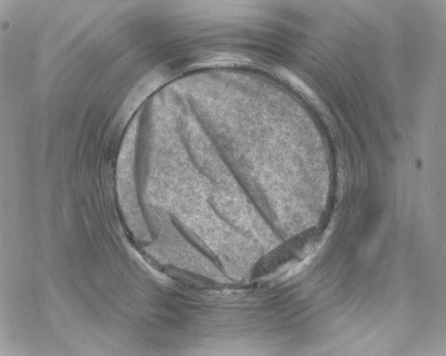 X0000069411329200606091757