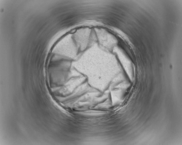 X0000069411335200606091757