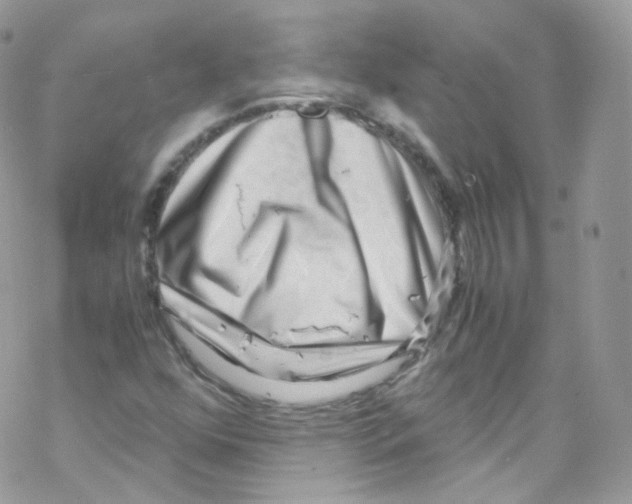 X0000069411352200606091756