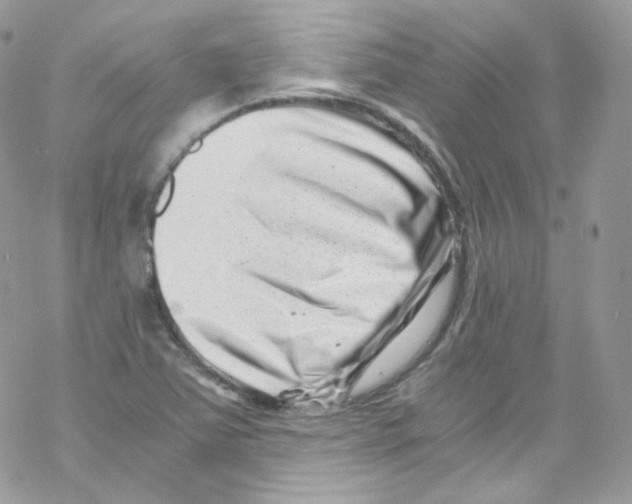 X0000069411363200606091756