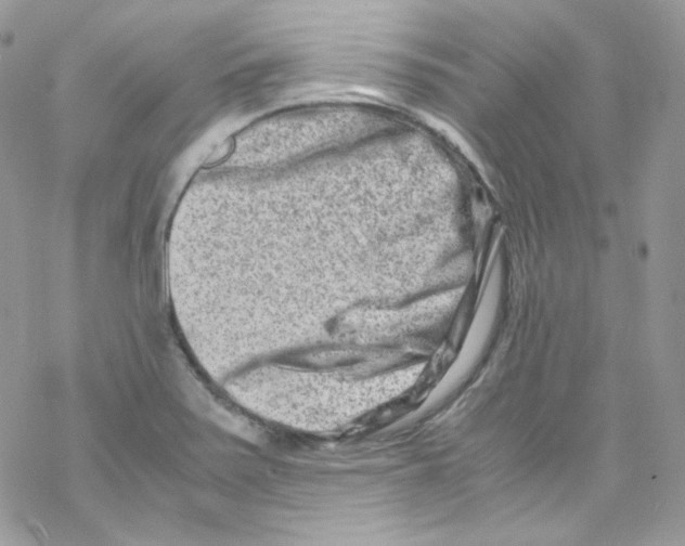 X0000069411371200606091756