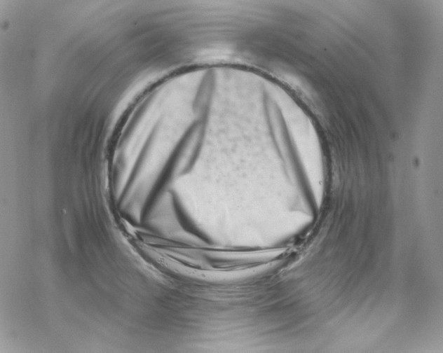 X0000069411376200606091756