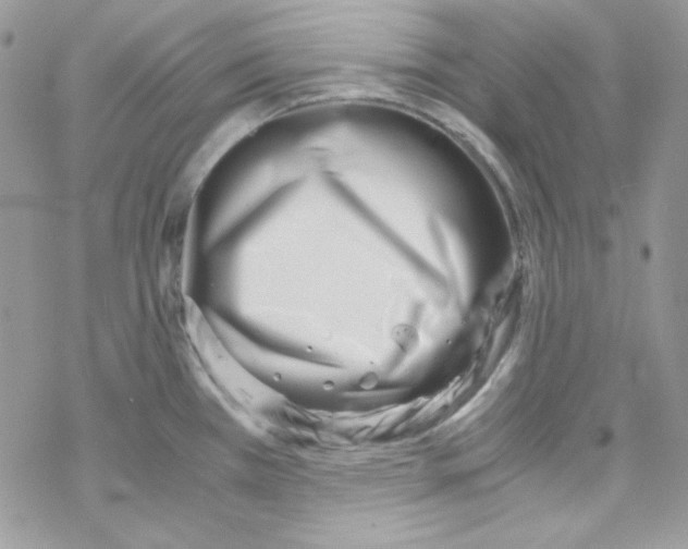X0000069411385200606091755