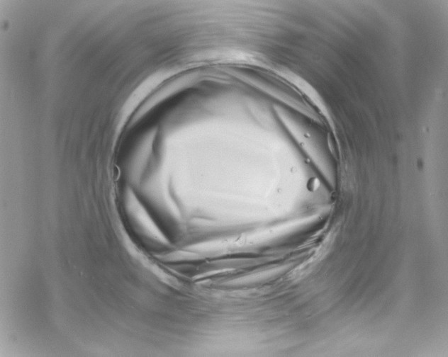 X0000069411389200606091755