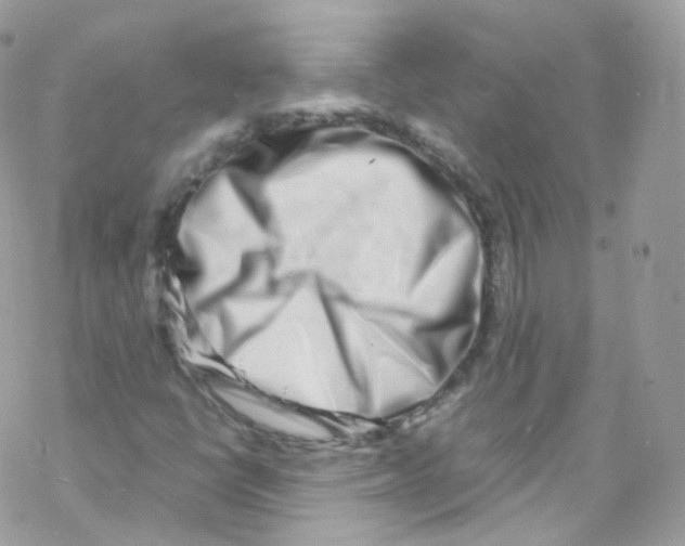 X0000069411398200606091755