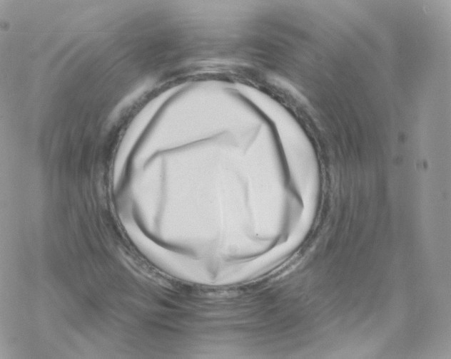X0000069411403200606091755