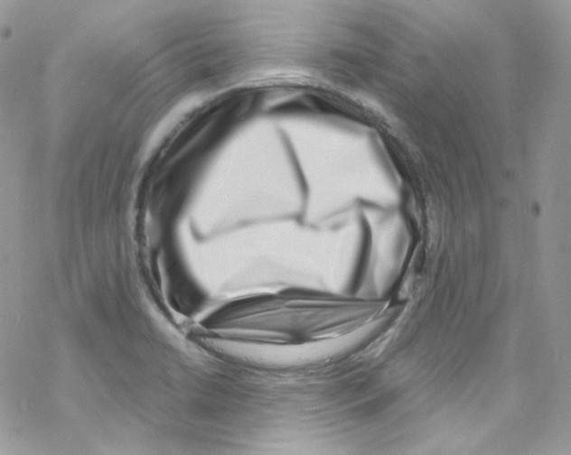 X0000069411422200606091755