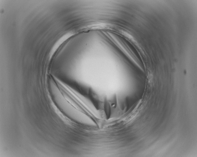 X0000069411426200606091755