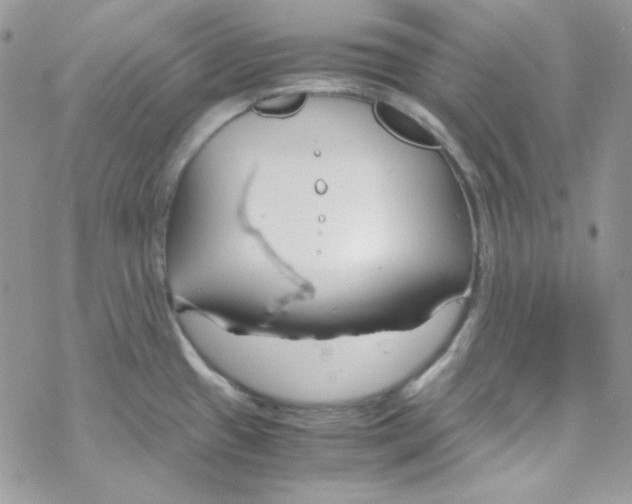 X0000069411433200606091755