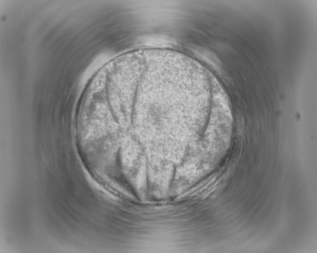 X0000069411471200606091754
