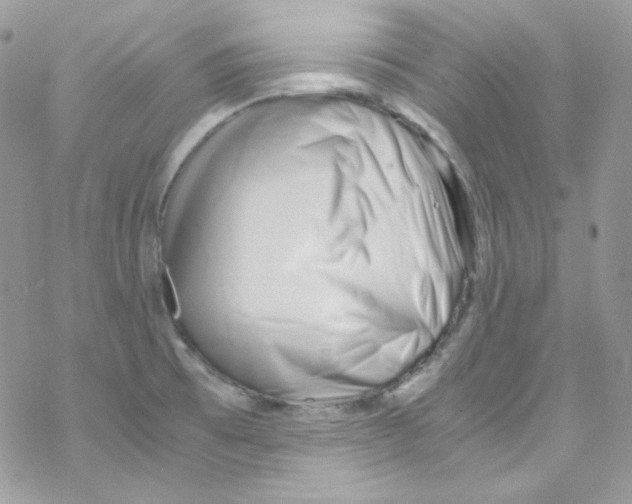 X0000069411473200606091754