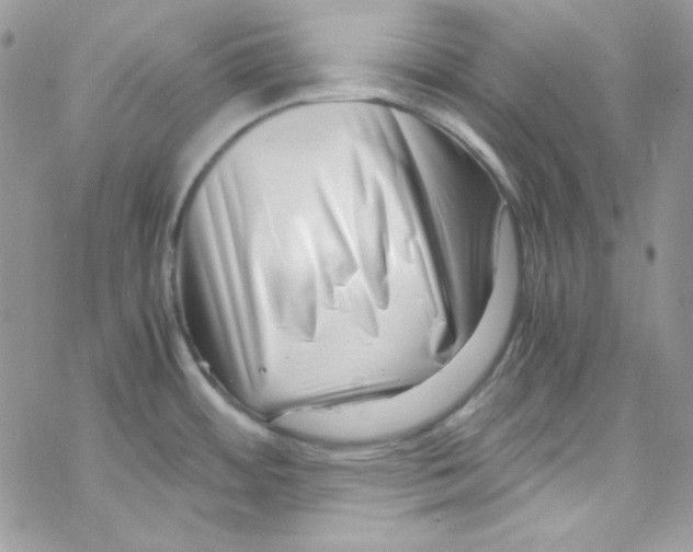 X0000069411484200606091754