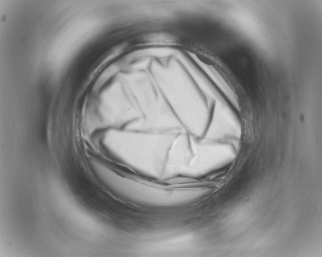 X0000069411487200606091754