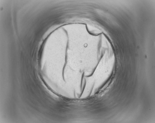 X0000069411525200606091754