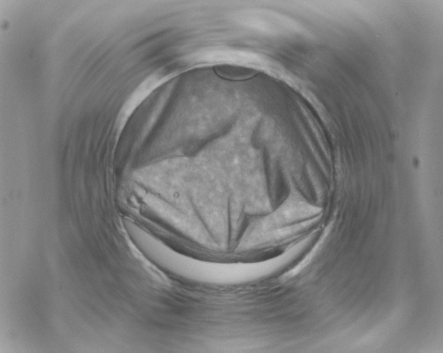 X0000069411529200606091754