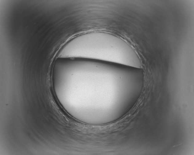 X0000069790002200605190856