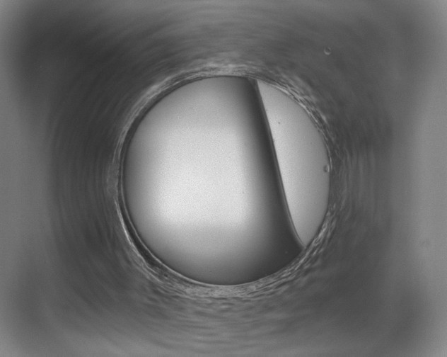 X0000069790003200605190856