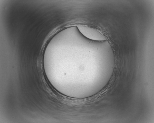 X0000069790004200605190856