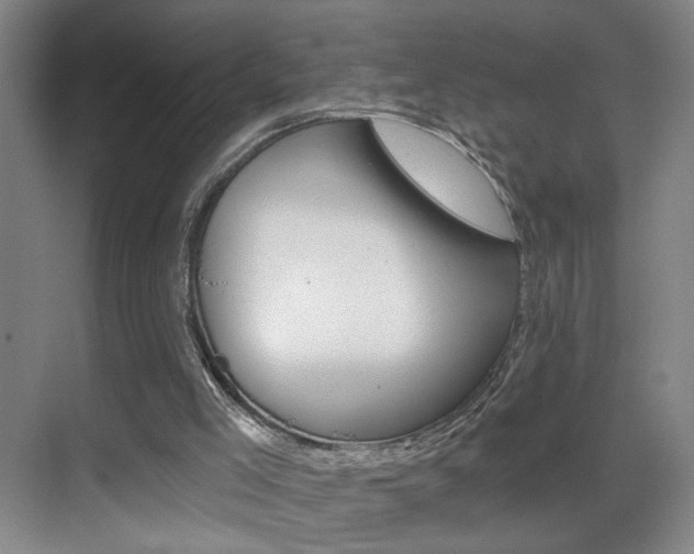 X0000069790005200605190856