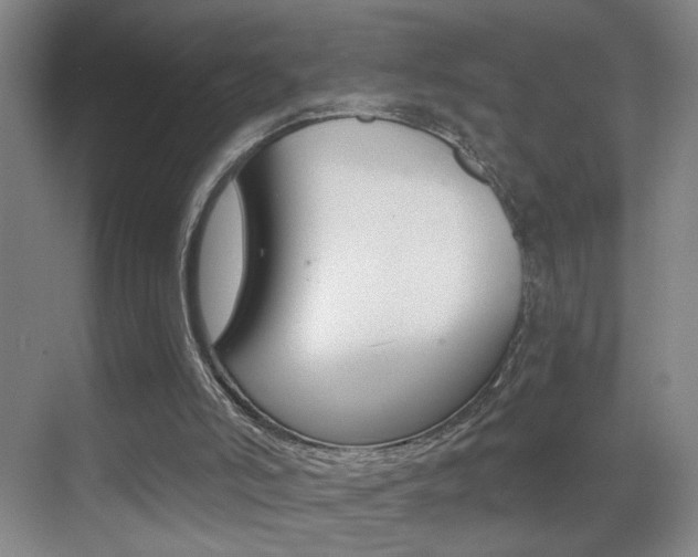 X0000069790006200605190855