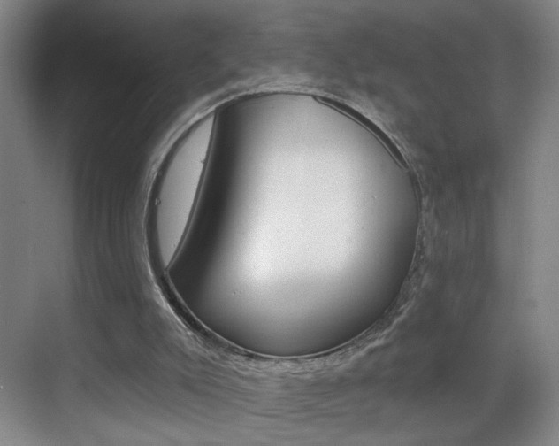 X0000069790007200605190855