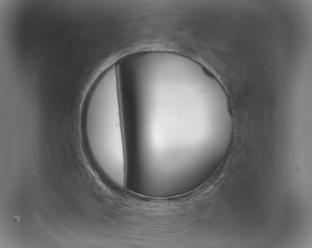 X0000069790008200605190855