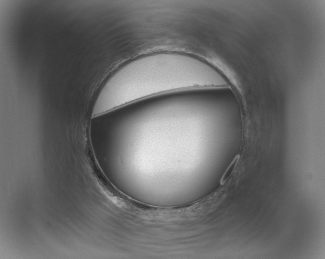 X0000069790009200605190855