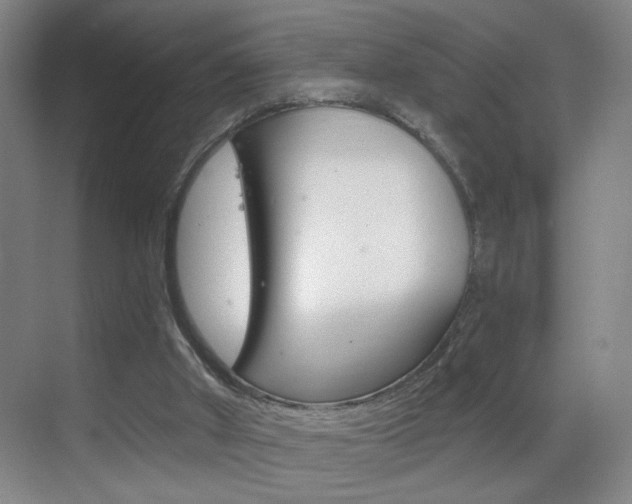 X0000069790010200605190855