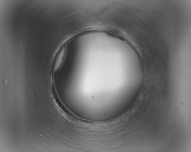 X0000069790011200605190855