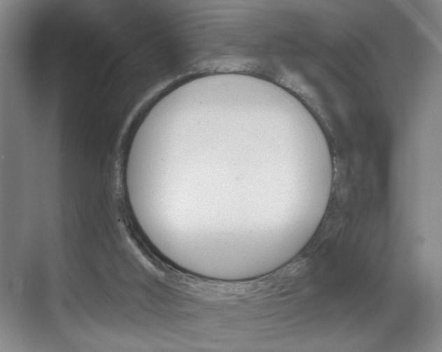 X0000069790012200605190855