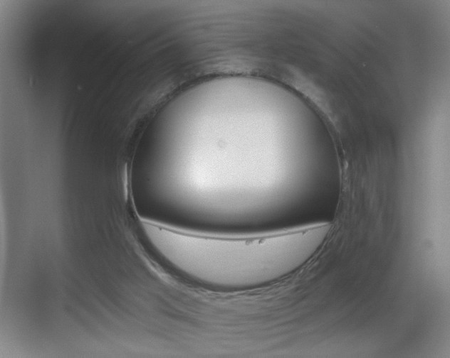 X0000069790013200605190855