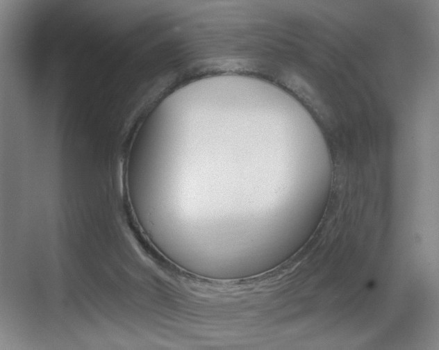 X0000069790014200605190855