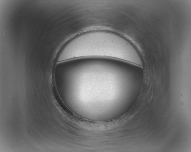 X0000069790015200605190855