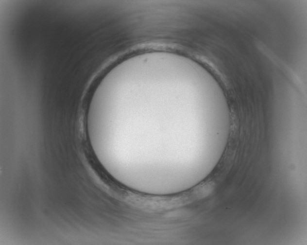 X0000069790016200605190855