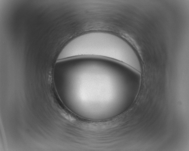 X0000069790017200605190855