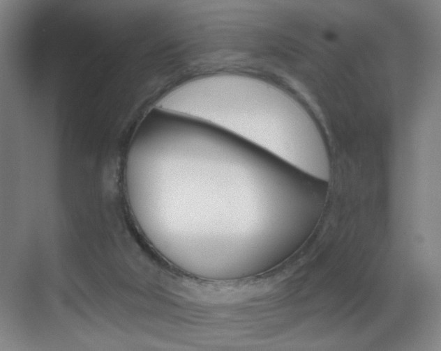 X0000069790018200605190855