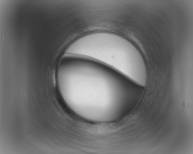 X0000069790020200605190855