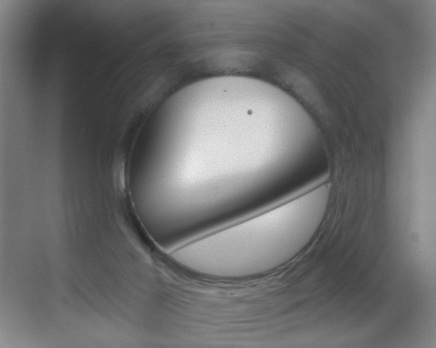 X0000069790021200605190855