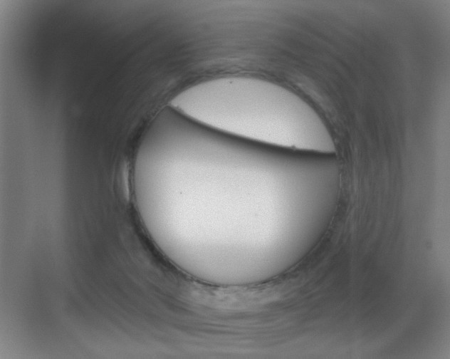 X0000069790022200605190855