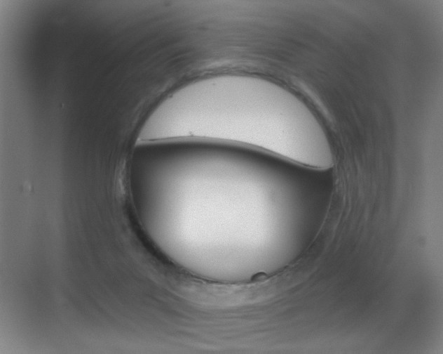 X0000069790023200605190855