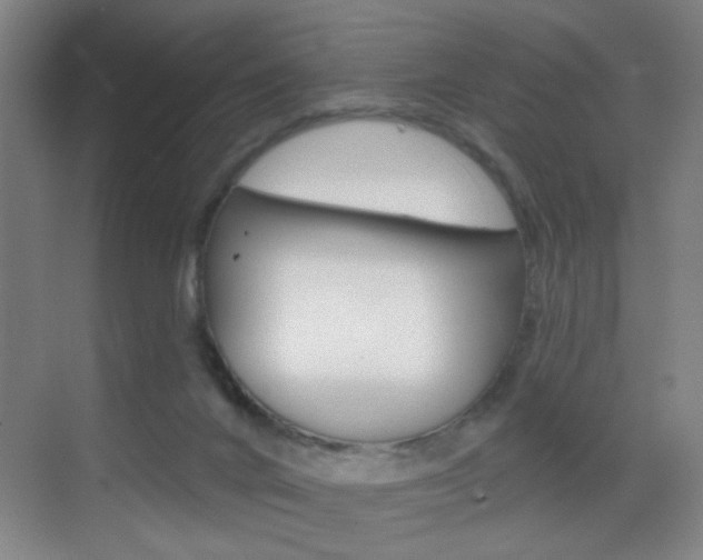 X0000069790024200605190855