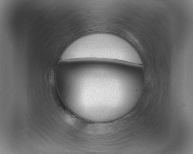 X0000069790025200605190855