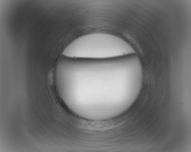 X0000069790026200605190855