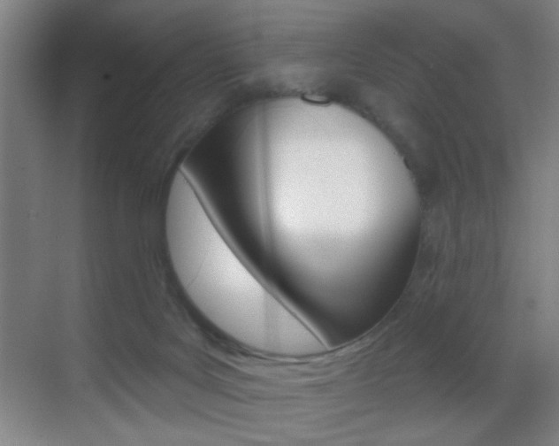 X0000069790027200605190855