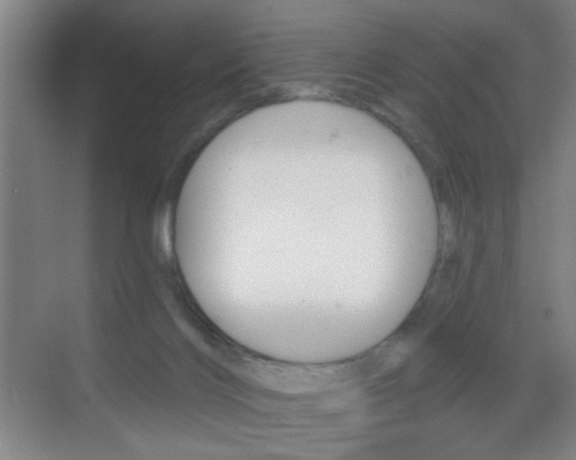 X0000069790028200605190855