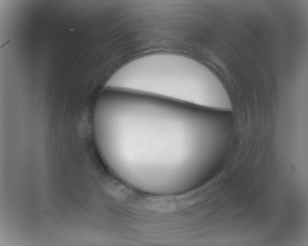 X0000069790029200605190855