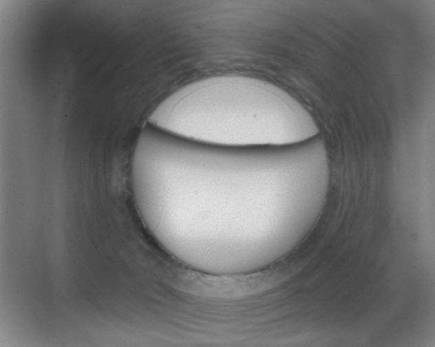 X0000069790030200605190855